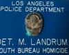Landrum and Associates Investigative Services